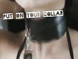 Put on your collar