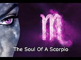 The Soul Of The Scorpio